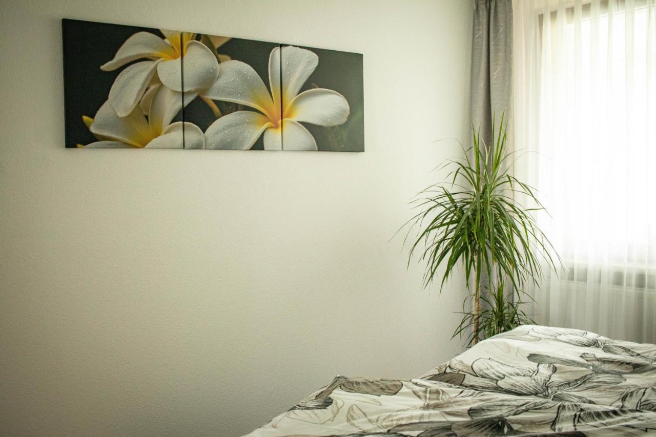 Ferienwohnung Am Schlosspark Ebersdorf  外观 照片